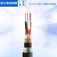DJYPVP電子計算機電纜